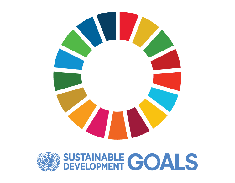 United Nations Sustainable Development Goals